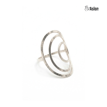Anillo núcleo